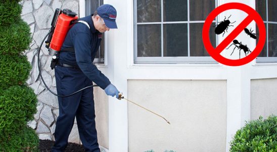 Manavkuyu Dezenfeksiyon böcek ilaçlama ve haşere kontrolü — ilaclama-tr.com